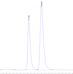 Pharmaceutical Analysis in QC and ADL | Complete Guide to QMS, Calibration, Documentation, Troubleshooting & Analytical Techniques (HPLC, GC, MS, NMR, XRD, TLC, Titration, Spectroscopy) 1 Chromatogram showing two distinct peaks