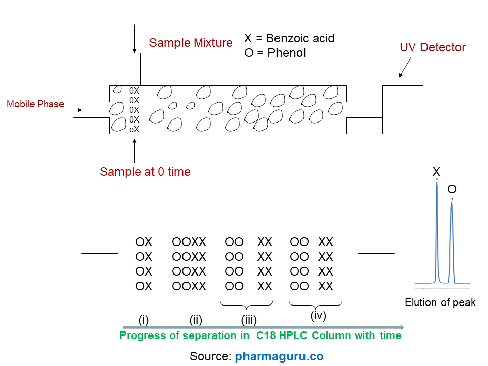 HPLC Column