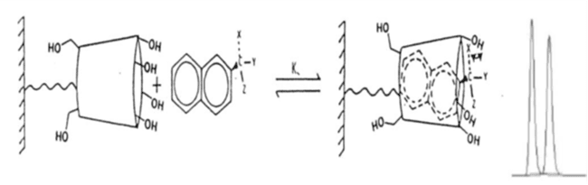 What Is Chiral GC (Gas Chromatography): Learn With FAQs 3 What is the Principle and the Separation mechanism in chiral GC?