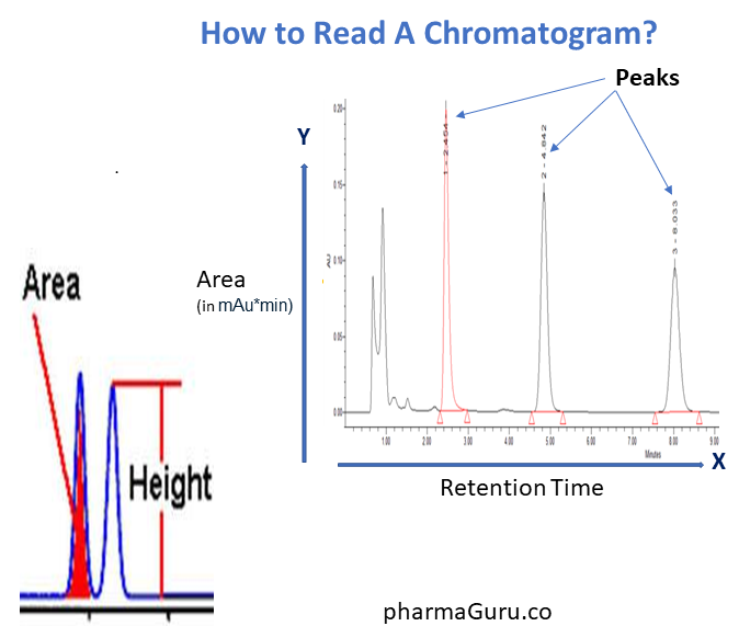 How to Read A Chromatogram In HPLC and GC