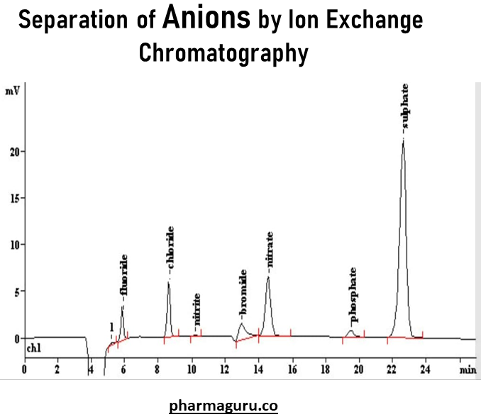 Separation Anions by Ion exchange chromatography