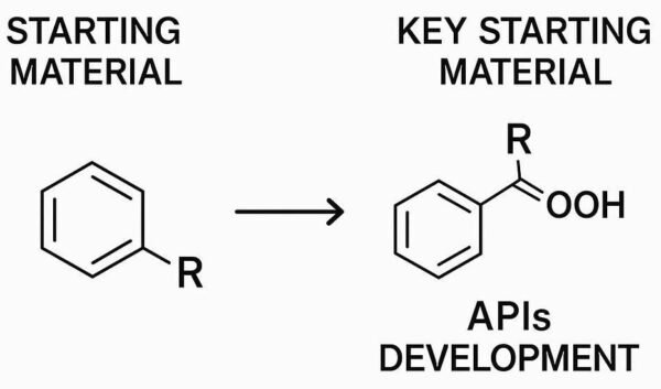 Starting Material and Key Starting Material In Pharmaceutical: 3+ Key ...