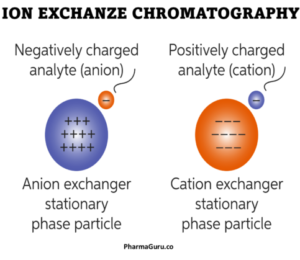 Partition, Adsorption, Ion Exchange, and Size Exclusion Chromatography: What Are the Key Differences